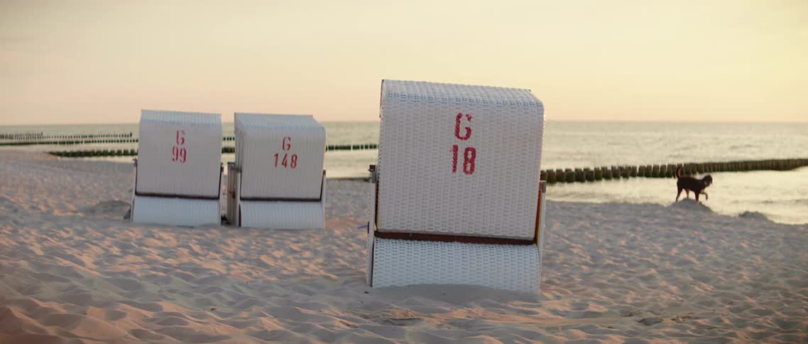 Large crates sit on the beach as a dog digs on the shore