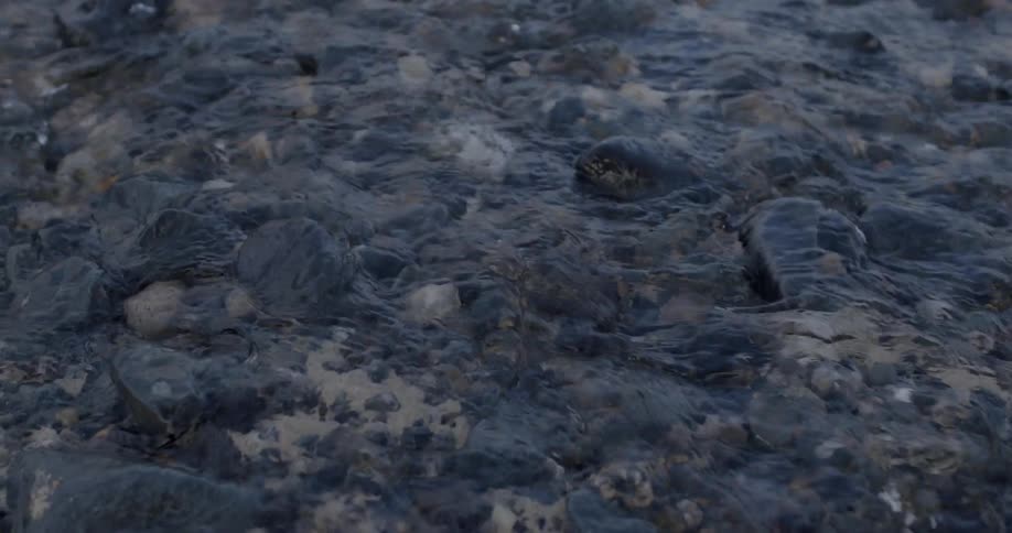 Close up of water moving over some rocks