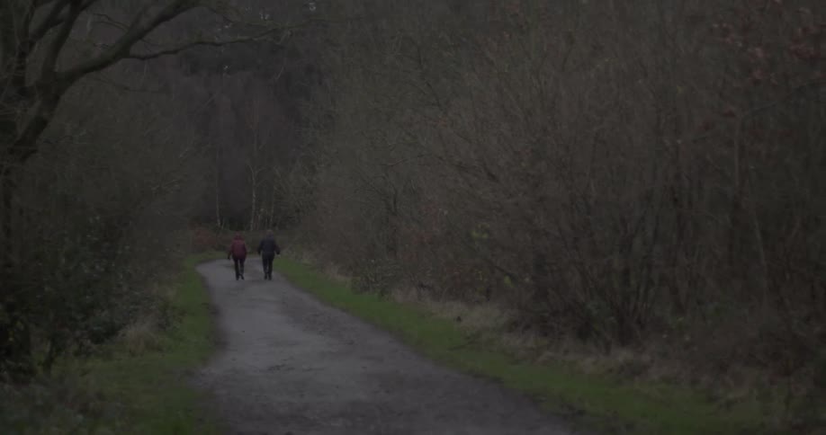 Two people walking down a dirt roadway in the forest during the fall
