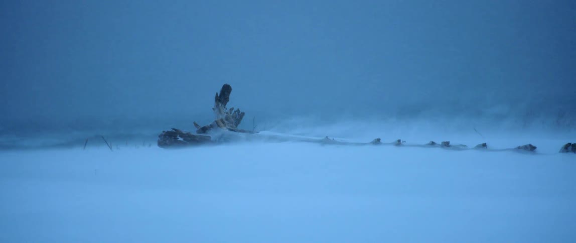 Strong wind blows heavy snow and sea spray along the coast