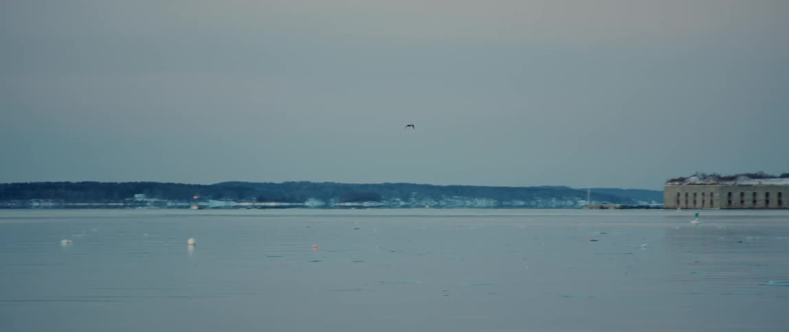 A bird flies past Fort Gorges sitting in the wintery harbor of Portland Maine