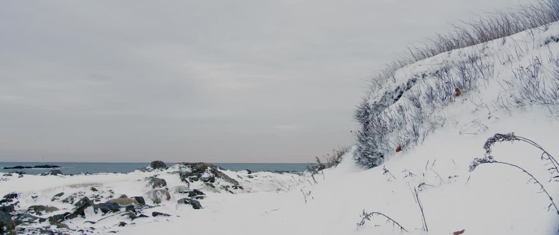 A coastal dune by the sea is covered in snow