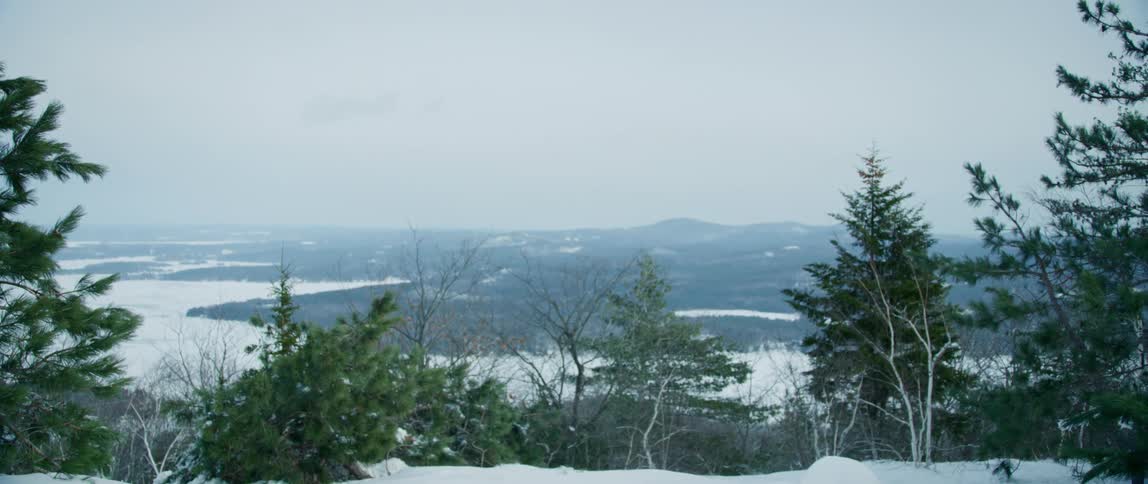 A frozen wilderness lay beyond the trees lining a mountain top