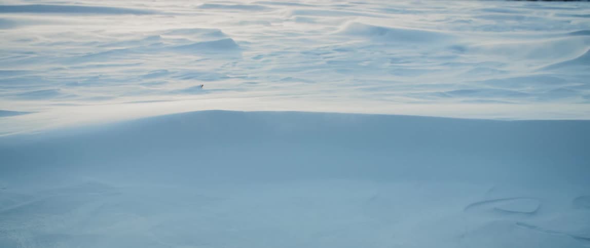 The winter wind drifts snow along an open expanse