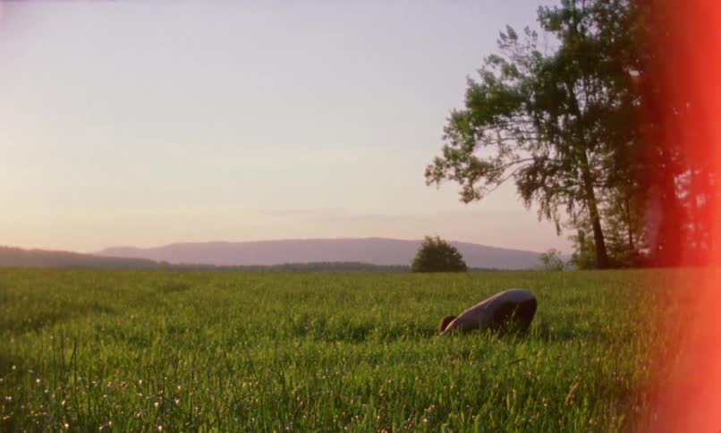 A man is exercising in the tall grass