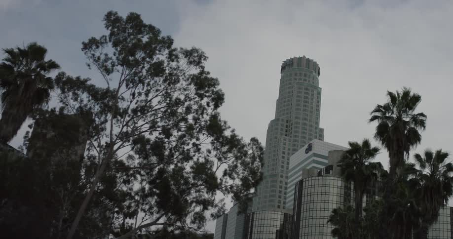 Tall buildings sit behind some trees