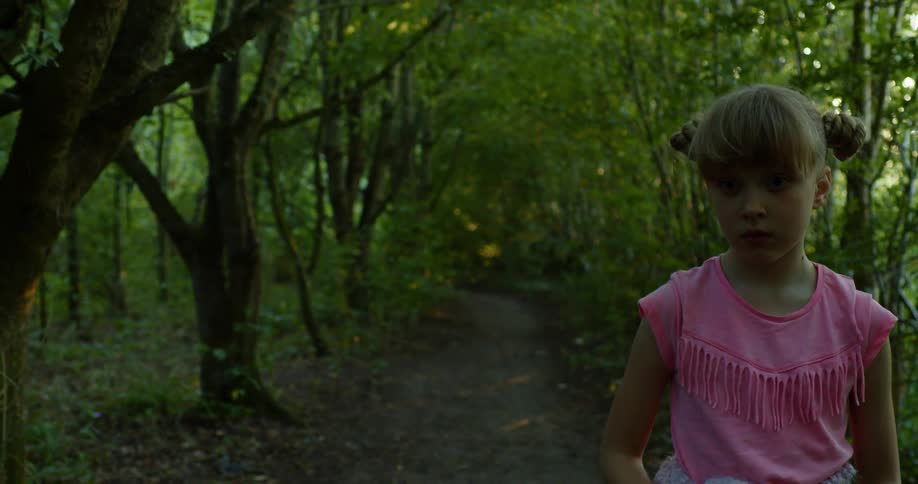 A girl walking in a forest with a path with trees and the sky in the background