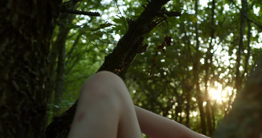 Girl with blonde hair and a pink shirt climbs a tree in the forest