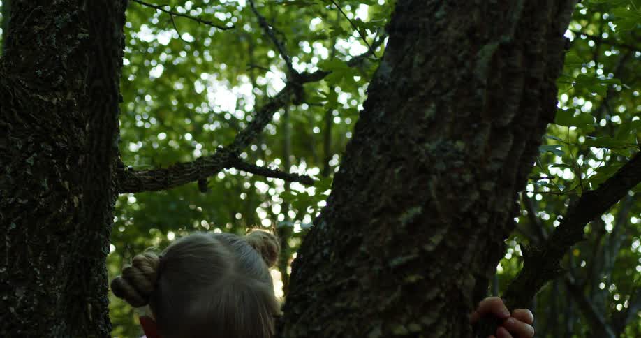 Girl with blonde hair and pink shirt climbs down a tree in the forest