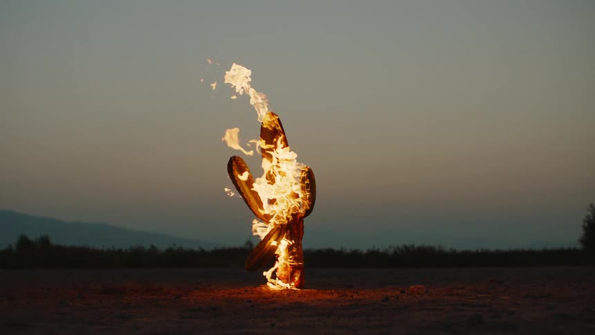 The cactus in the middle of the desert is on fire