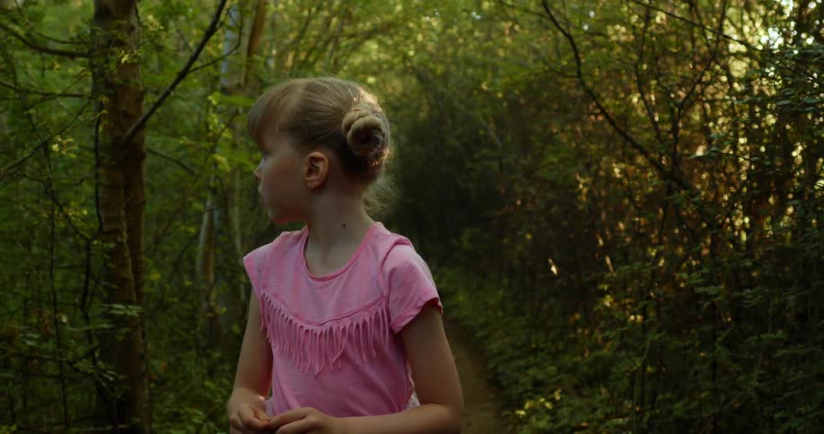 A young child is walking through a forest