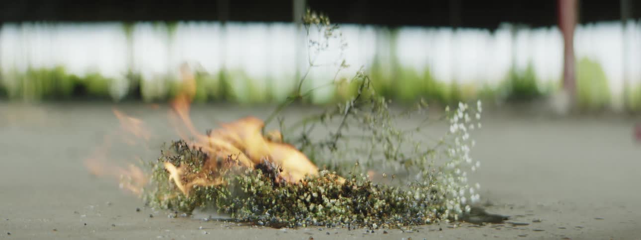 Tree branches burn on the ground