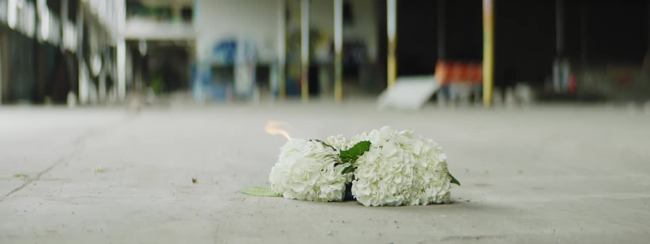 White flowers lie on a white floor as they are engulfed by flame