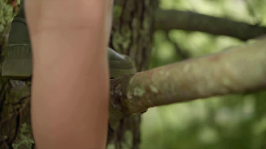 Girl with shorts and a pink shirt climbs a tree in the forest