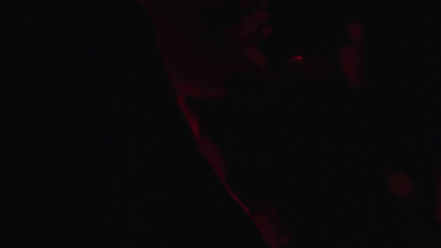 Fluid shapes surrounded by darkness