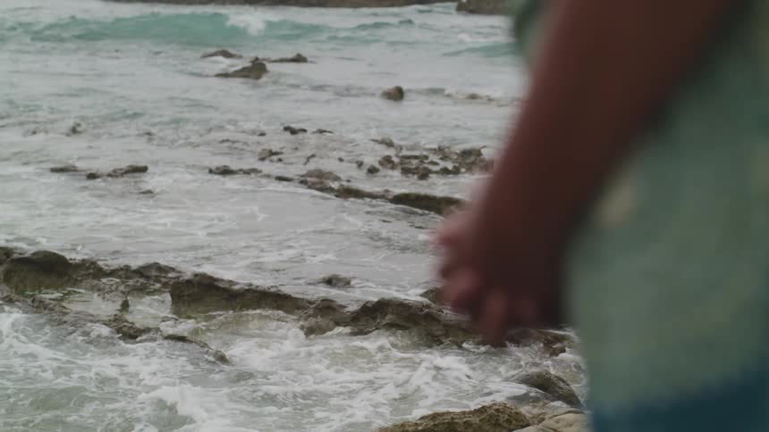 A woman is standing on the shore watching the ocean