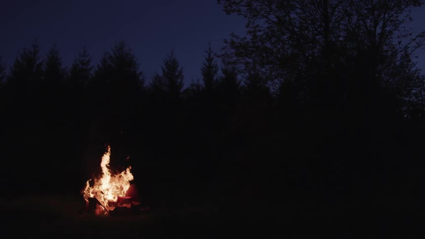 A fire burning in the forest with embers with trees and the sky in the background