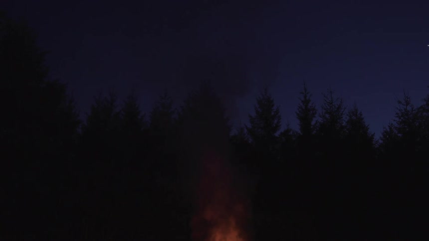 The fire is burning by the dark forest