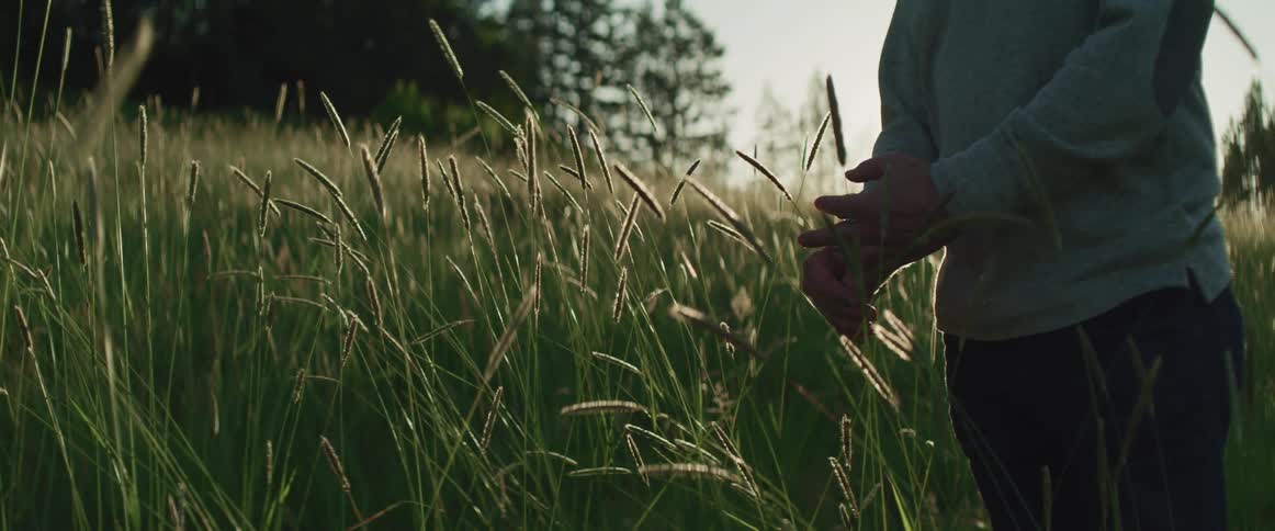 Person stands outdoors in field touching plant stalk back lit by glaring sun