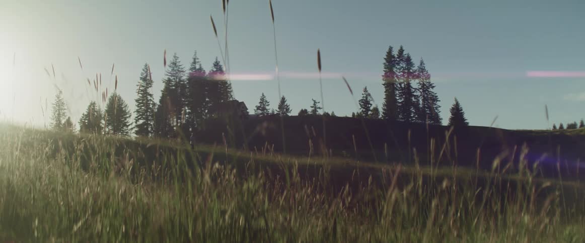 A view of a grassland area is displayed