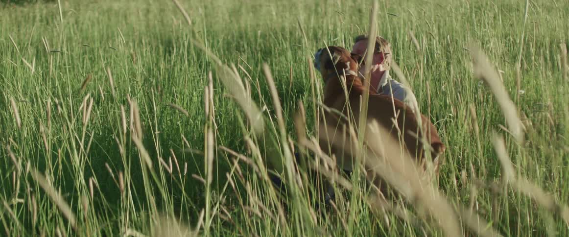 A man is playing fetch with the dog in tall grass