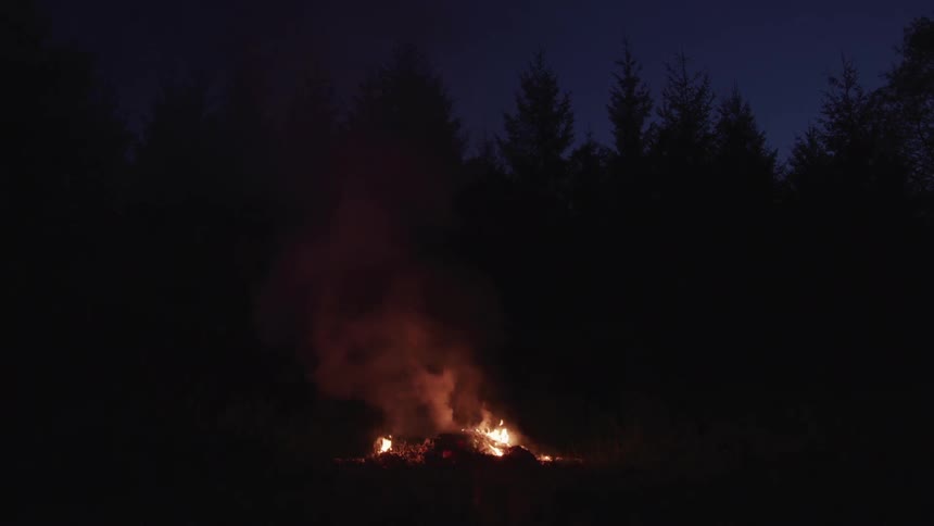 Large campfire burns near conifer forest releasing a thick cloud of smoke