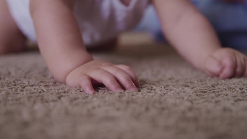 Close up of a babys hands crawling over the brown carpet at home