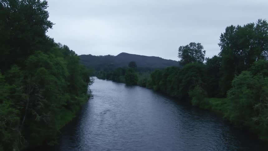 The river runs through the forest