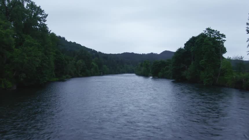 The river runs through the forest