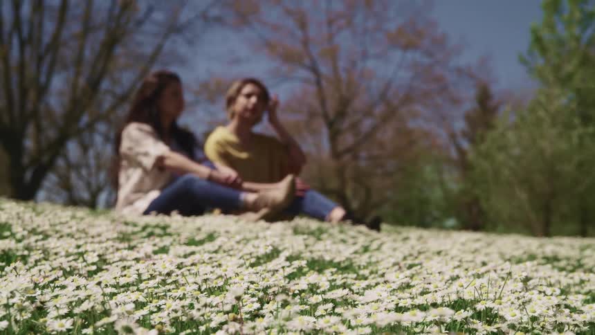 Two women sit in a floral field near the trees