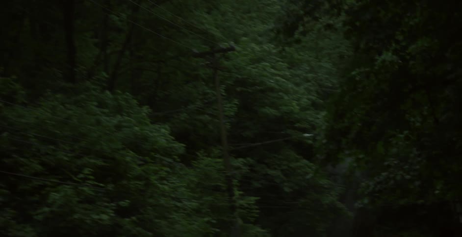 Moving through a dense forest with little lighting