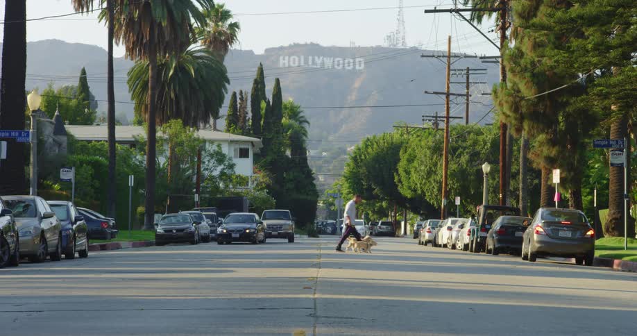 A man walks his dog across the street as cars drive by