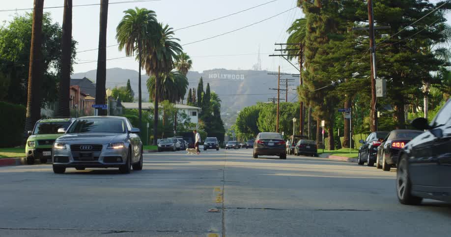 Cars drive on the busy street