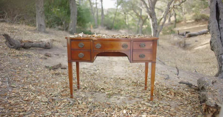 Autumn leaves fall around a desk in a forest