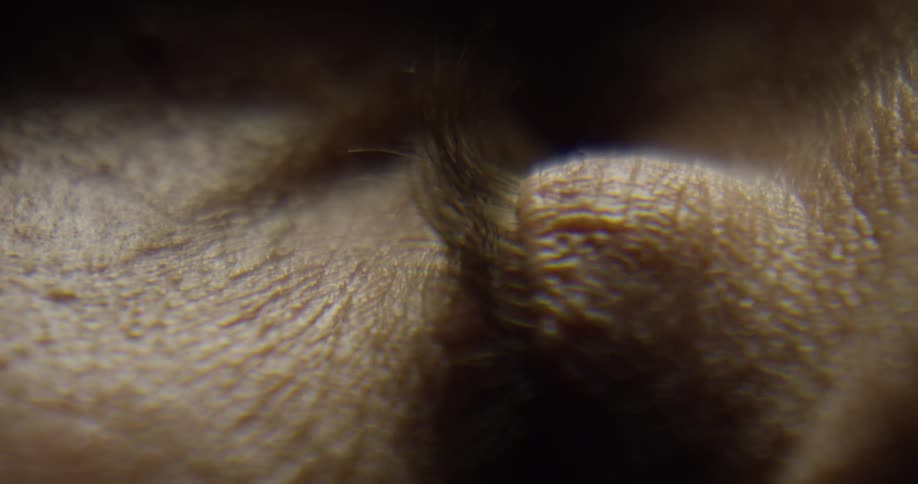 Close up of an eyeball blinking