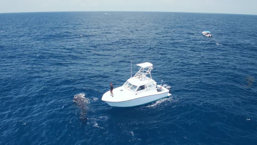A person stands on the edge of a boat in the wide open ocean