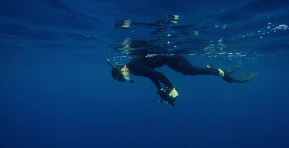 A diver is taking photographs underwater
