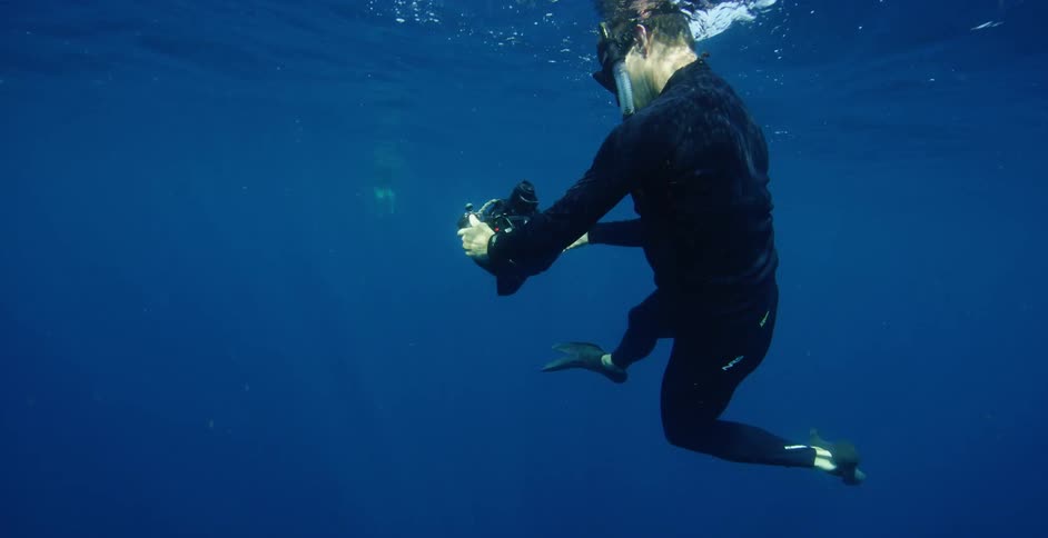 A diver with an underwater camera takes footage while swimming just below the surface