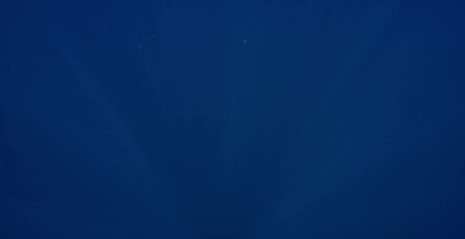 A view of under the ocean is displayed