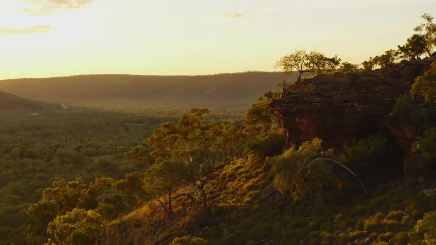 A person standing on a cliff with trees and the sky in the background