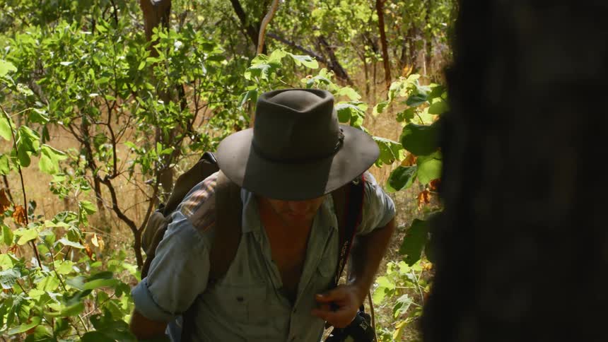 A man is hiking through the forest