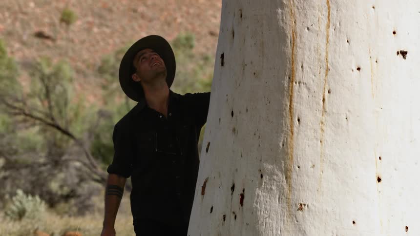 A man walks over to examine a tree