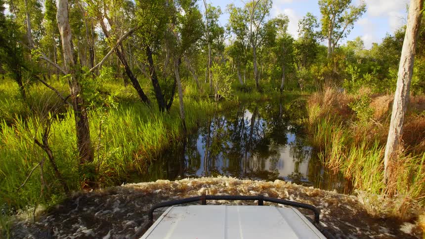 A person driving a boat down a marsh