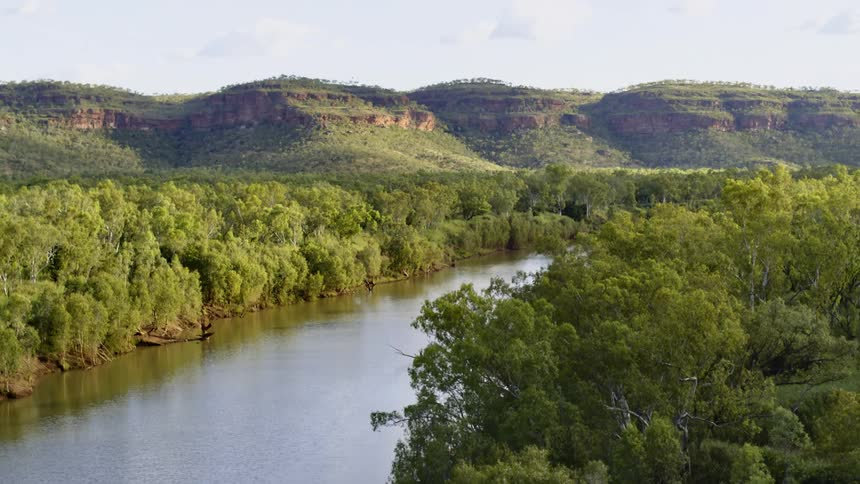 An aerial view of a river surrounded by trees