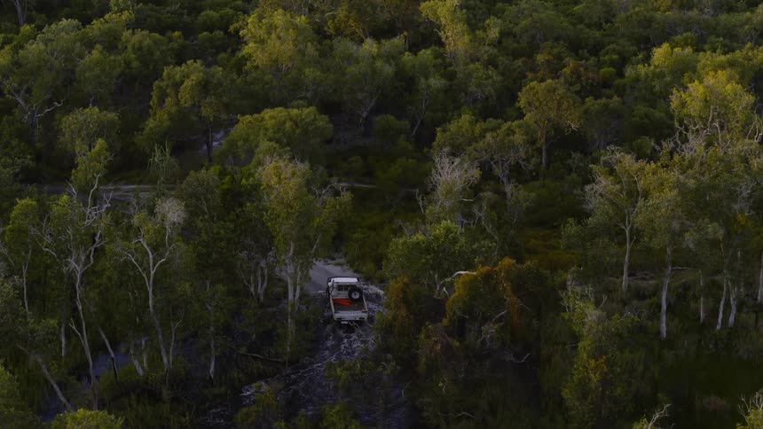 A truck is driving through the forest