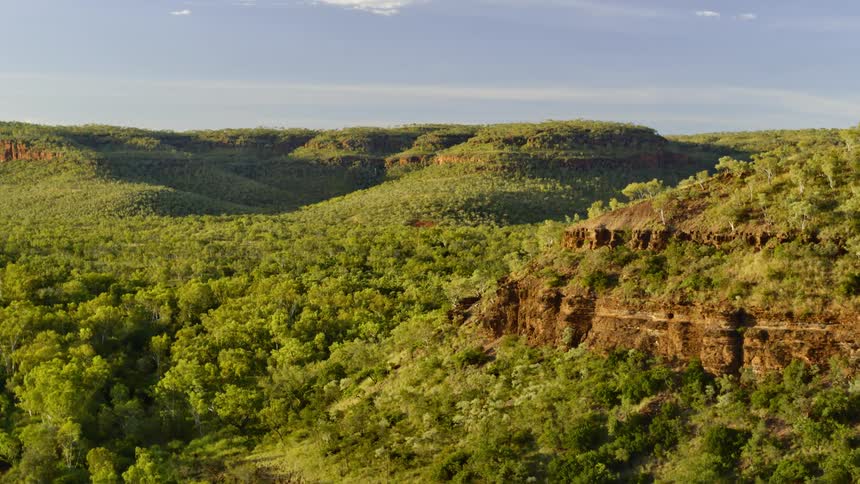 Several mountains and plateaus are covered in dense layers of trees