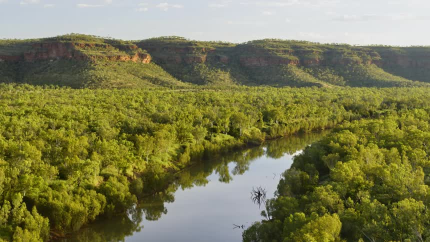 Trees line the river while mountains sit nearby