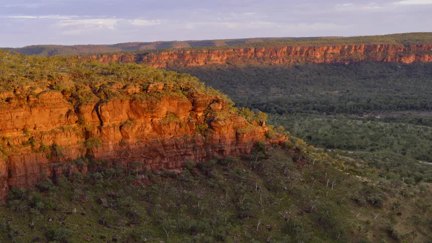 An aerial view of a cliff surrounded by trees is displayed