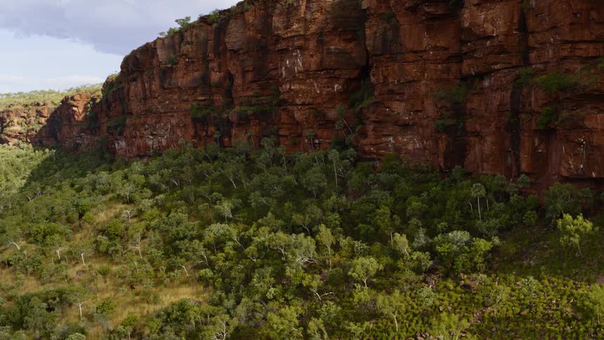 A hilly wilderness covered in trees below a tall cliff