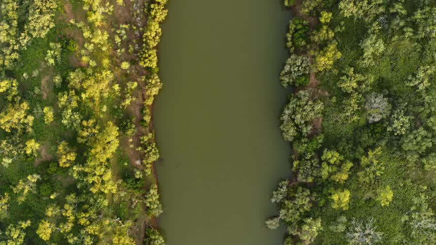 An aerial view of a river surrounded by a forest is displayed